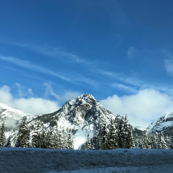 Meet your Posher, Alyssa - Picture 1 of 1